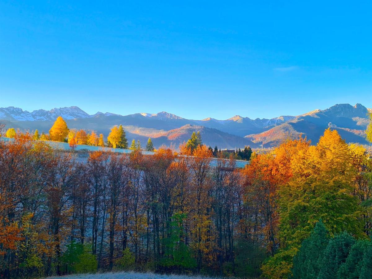 Apartamenty Skalna Chata Zakopane Esterno foto