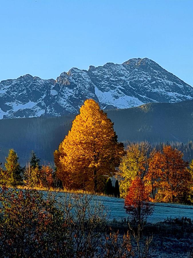 Apartamenty Skalna Chata Zakopane Esterno foto