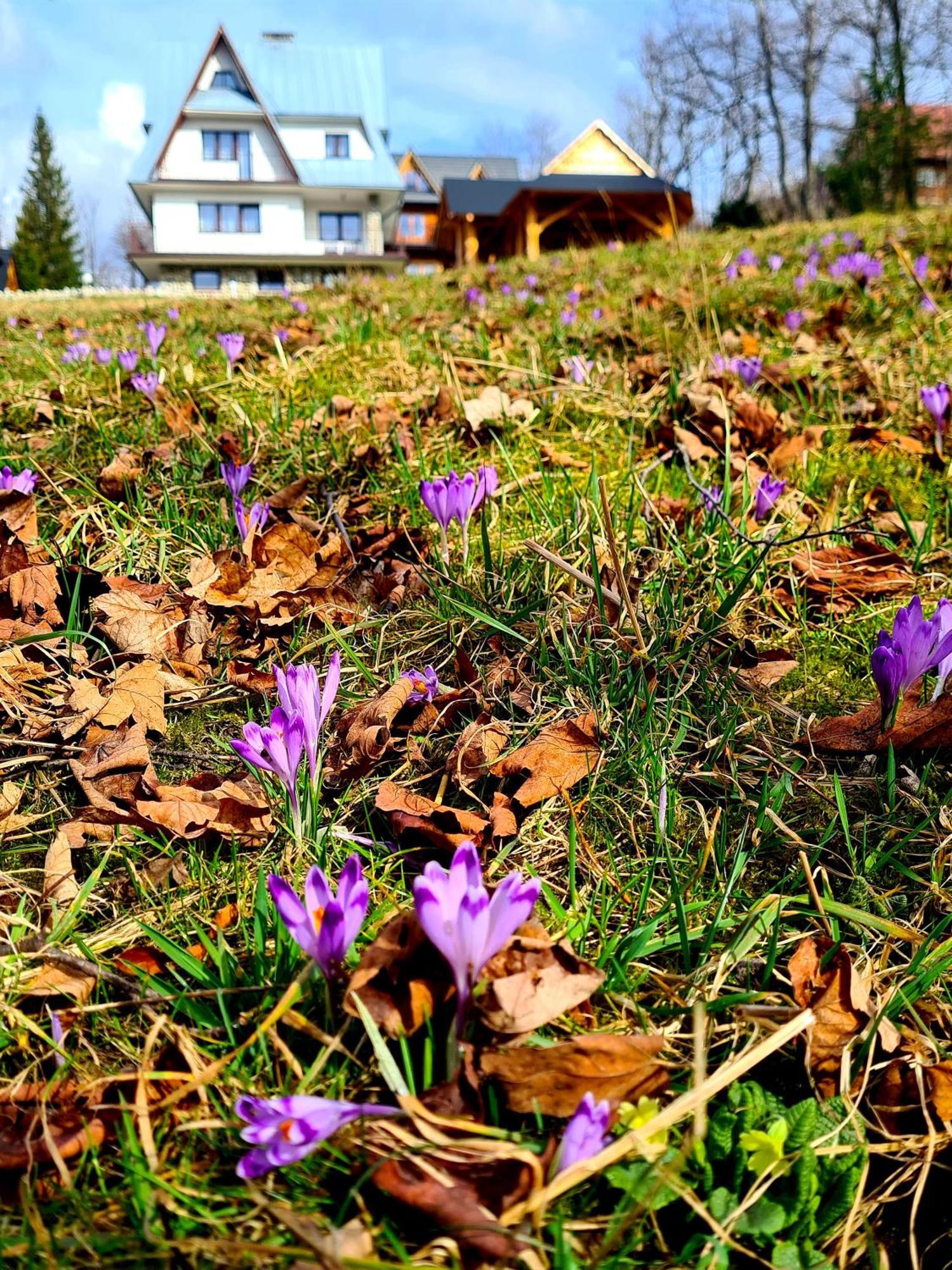 Apartamenty Skalna Chata Zakopane Esterno foto